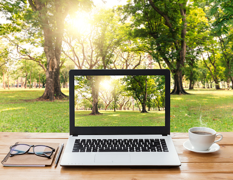 photo of laptop in nature